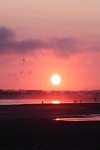 Twilight Glow Over Crescent City 🌅