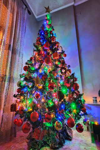 Sparkling Holiday Cheer 🎄✨