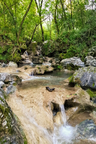 Whispers of Cascada: Nature's Serenity 🌊🍃