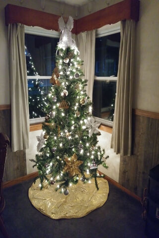 Sparkling Holiday Cheer 🎄✨