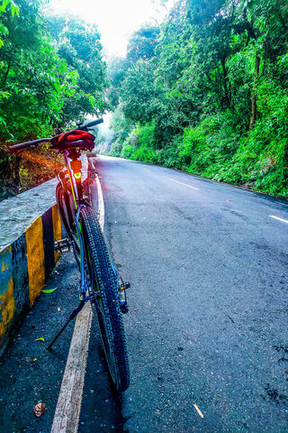 Pedal Power: Embracing Nature's Path 🚴 ️🌲