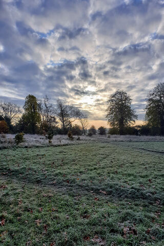 Frosty Dawn Awakening 🌅❄️