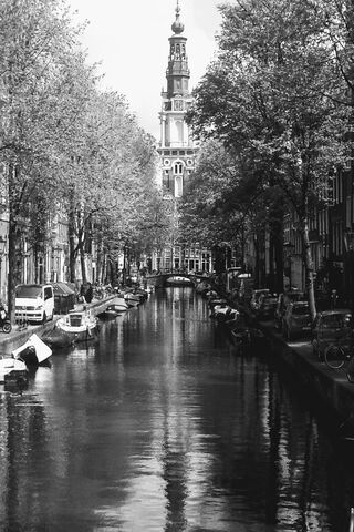 Serenity in the Heart of Amsterdam 🌊🏙️