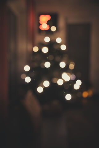 Twinkling Holiday Magic ✨🎄