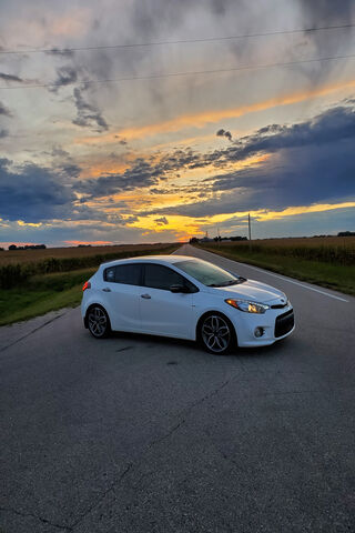 Kia in the Golden Hour 🌅