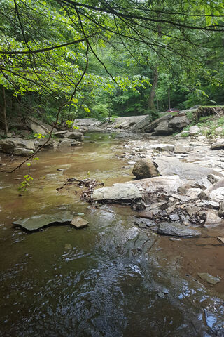 Tranquil Waters of Calm Creek 🌿💧