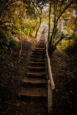 Stairway to Nature's Heart: Catarina, Nicaragua 🌿✨