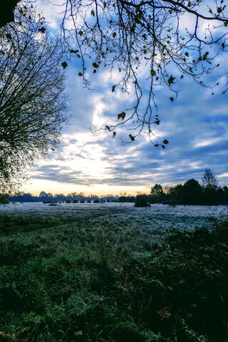 Frosty Dawn Awakening ❄️🌅