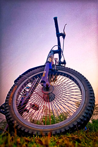 Wheels of Adventure 🚴 ✨