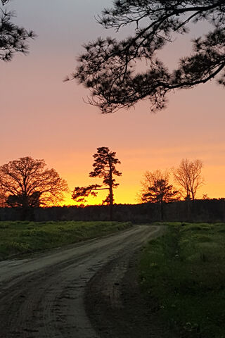 Twilight Serenity: A Country Evening