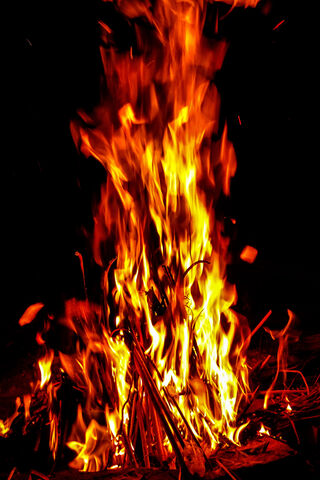 Camp Fire
