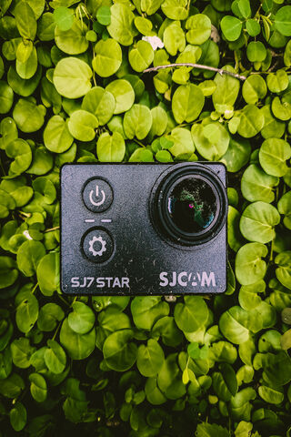 Nature's Snapshot: A Love Affair with Photography 📸💚