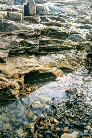 Whispers of the Creek 🌊✨