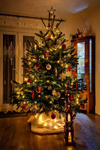 Magical Holiday Glow: A Christmas Wonderland 🎄✨