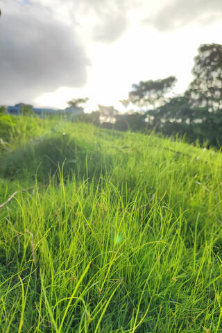 Close To Nature