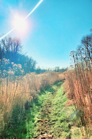Pathway to Dreams 🌅✨