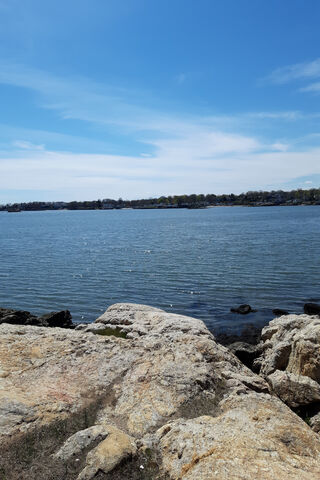 Serenity by the Shore 🌊✨