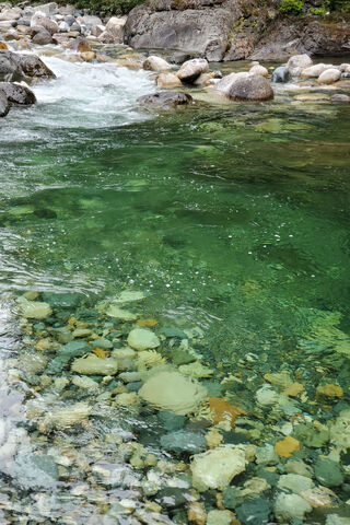 Emerald Waters of Englishman River 🌊💚