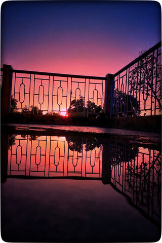 Twilight Reflections 🌅✨