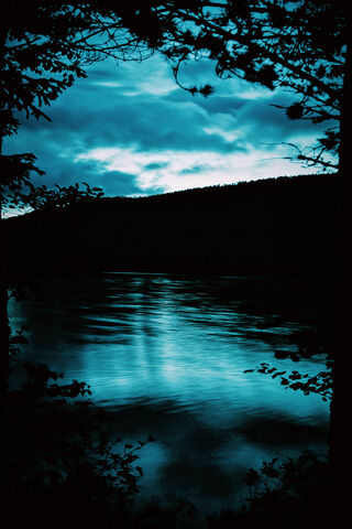 Mystical Reflections of the Enchanted Forest 🌌✨