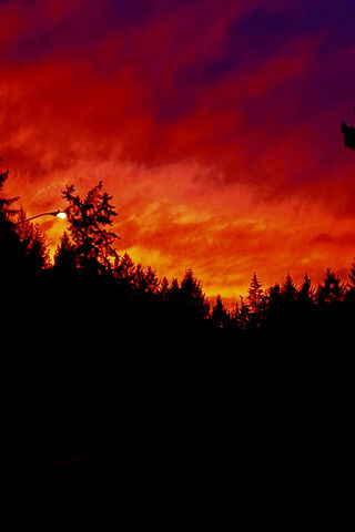 Edited Sun Rise