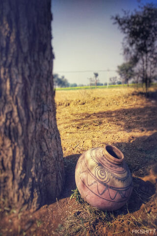 Rustic Charm: The Earthen Pot's Story