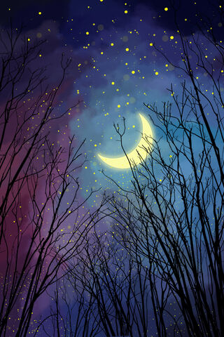 Whispers of the Night Sky 🌙✨