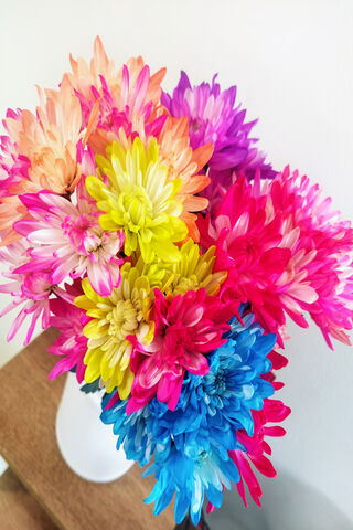 Spring Blooms: A Burst of Color 🌸🌼