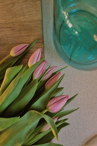 Blooming Beauty: A Touch of Spring 🌷✨