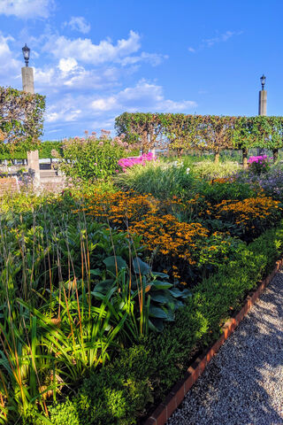 Blooming Serenity: A Day in the Flower Garden 🌼🌿