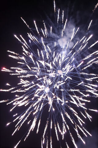 Explosive Night Sky 🎆✨