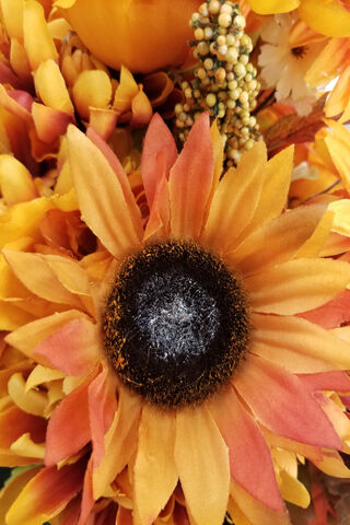 Autumn's Golden Embrace 🌻🍂