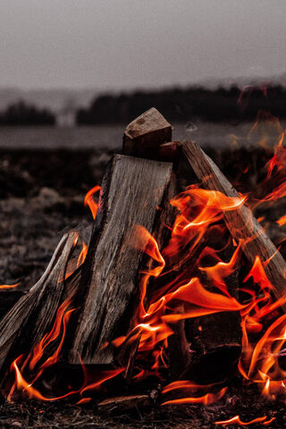 Embers of Adventure: The Heart of the Fire