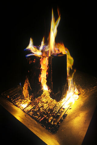 Embers of Warmth: The Heart of the Feuerstelle 🔥