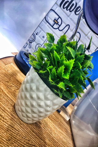 Charming Greenery: A Touch of Nature Indoors 🌿