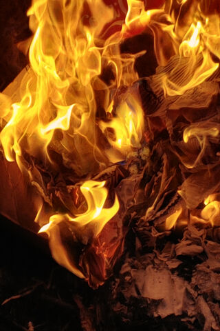 Dancing Flames: The Art of Fire