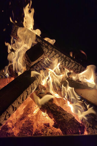 Cozy Flames: A 4K Fireplace Experience 🔥✨