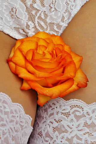 Blossom of Passion 🌹✨