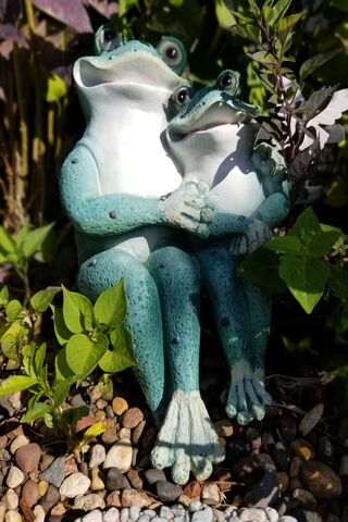 Froggy Friends Forever 🐸💚