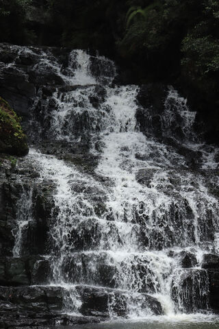Nature's Cascading Symphony 🎶💧