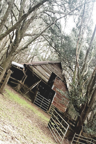 Whispering Memories of the Forgotten Barn 🌾🏚️