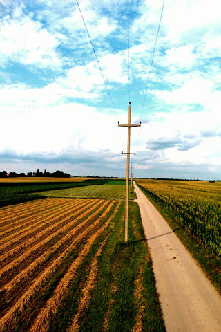 Serenity in the Fields of Vojvodina 🌾✨