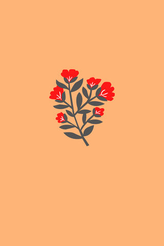 Flowers Minimalistic