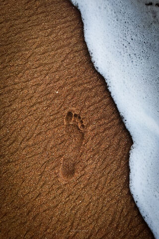 A Step into Serenity 🌊👣