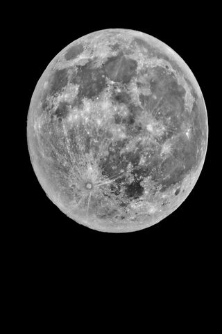 Luminous Night: The Full Moon's Embrace 🌕✨