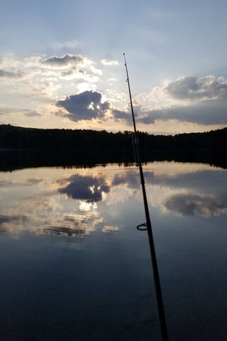 Casting Dreams at Dusk 🌅🎣