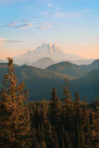 Majestic Peaks: A Forest's Embrace 🌲🏔️