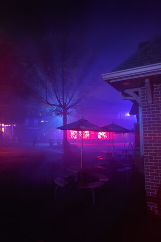 Whispers of the Ghost Tree 🌫️👻