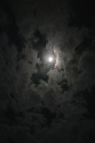 Whispers of the Night Sky 🌙✨