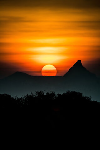 Sunset Serenade: Nature's Golden Embrace 🌅✨